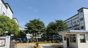 Company profile